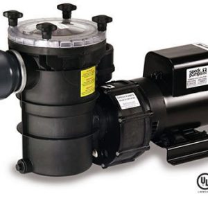 Speck Model 21-80 BS Pump